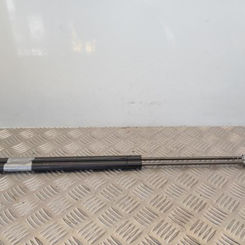Verin de coffre NISSAN JUKE 1