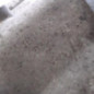 Boite de vitesses RENAULT CLIO 2