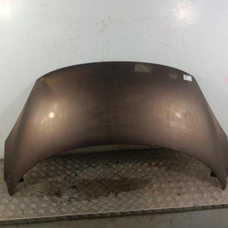 Capot RENAULT GRAND SCENIC 3 Capot RENAULT GRAND SCENIC 3