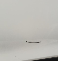Porte avant gauche RENAULT CLIO 4