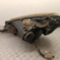 Optique avant principal droit (feux)(phare) FIAT SCUDO 2