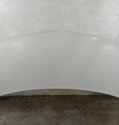 Capot RENAULT KANGOO 2 Photo n°1