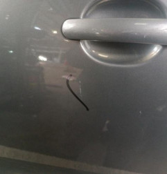 Porte avant gauche VOLKSWAGEN POLO 5 Photo n°5