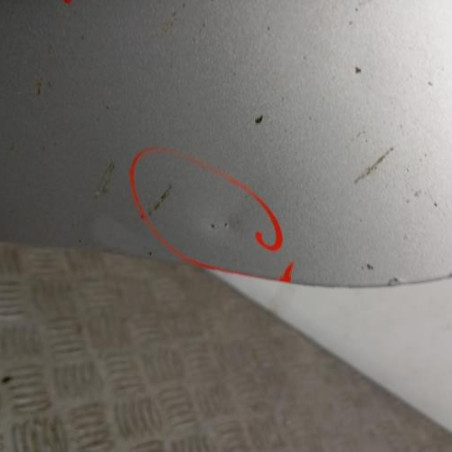 Porte arriere gauche PEUGEOT 406