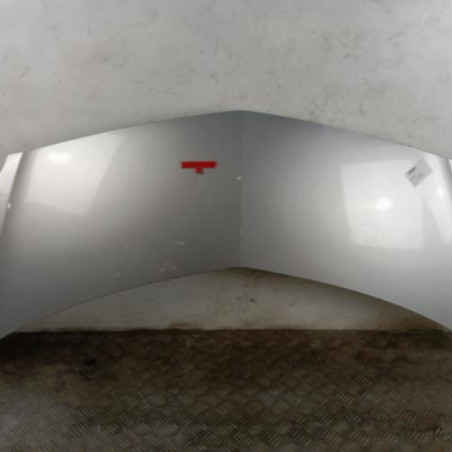 Capot RENAULT GRAND MODUS Photo n°1