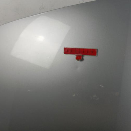 Capot RENAULT GRAND MODUS