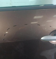Porte arriere gauche RENAULT GRAND SCENIC 3 Photo n°4