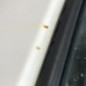 Porte avant gauche PEUGEOT BOXER 2