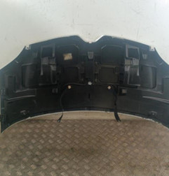 Capot RENAULT TWINGO 3