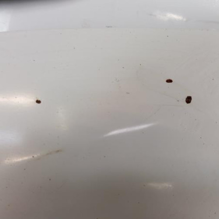 Capot RENAULT MEGANE 3