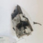 Serrure avant gauche CITROEN C3 PLURIEL