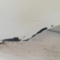 Aile avant gauche RENAULT CLIO 2