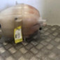 Vase d'expansion CITROEN JUMPER 3