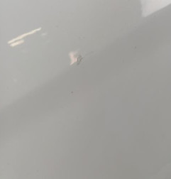 Porte avant gauche FORD GRAND C-MAX 2 Photo n°3