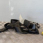 Ceinture avant gauche VOLKSWAGEN TOURAN 1