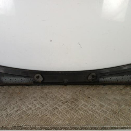 Baie de pare brise RENAULT TRAFIC 3 Photo n°1