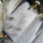 Boite de vitesses RENAULT MEGANE 2