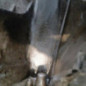 Boite de vitesses PEUGEOT 208 1