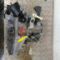 Boite de vitesses CITROEN C3 3