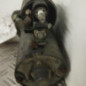 Demarreur PEUGEOT 307