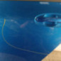 Porte arriere gauche TOYOTA YARIS 2