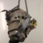 Boite de vitesses CITROEN C3 PICASSO