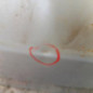 Malle/Hayon arriere PEUGEOT 307