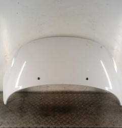 Capot PEUGEOT 207 Photo n°1