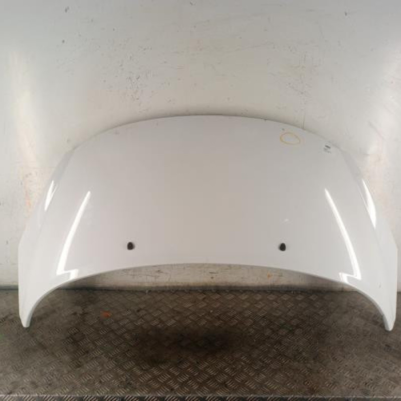 Capot PEUGEOT 207 Capot PEUGEOT 207