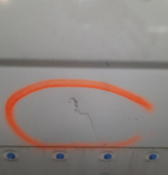 Porte avant droit NISSAN PRIMASTAR 1 Photo n°3