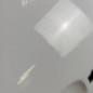 Porte avant gauche RENAULT CLIO 4