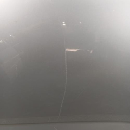 Porte arriere gauche RENAULT TALISMAN