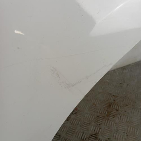 Porte arriere gauche CITROEN C3 2