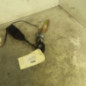 Attache ceinture avant gauche RENAULT CLIO 2