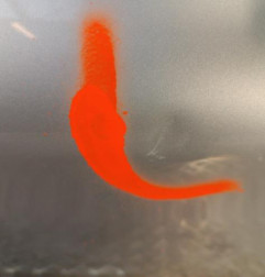 Porte arriere gauche PEUGEOT 208 1