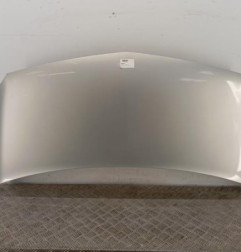 Capot RENAULT KANGOO 2 Photo n°1