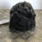 Alternateur RENAULT CLIO 3