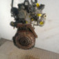 Moteur NISSAN MICRA 3
