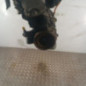 Moteur RENAULT TWINGO 2