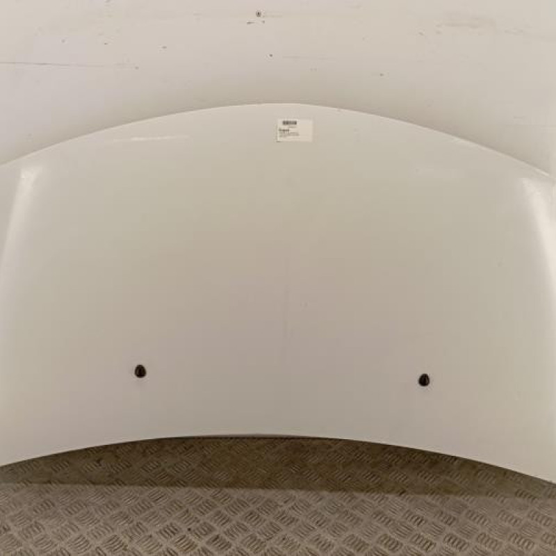 Capot RENAULT CLIO 3