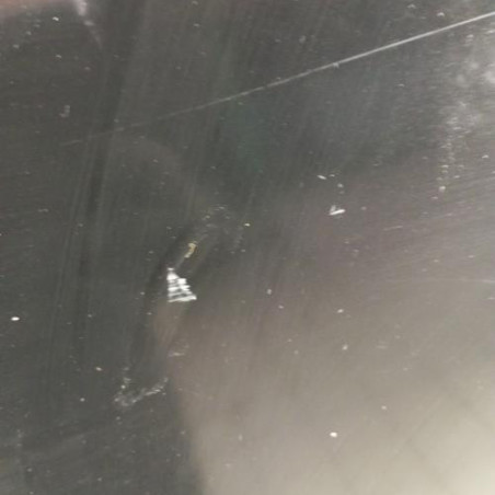 Porte arriere gauche RENAULT SCENIC 3
