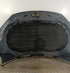 Capot VOLKSWAGEN TIGUAN 1 Photo n°6