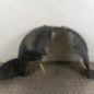 Pare boue avant droit MAZDA CX5 1