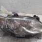 Optique avant principal droit (feux)(phare) SEAT IBIZA 4