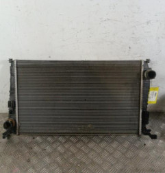 Radiateur eau DACIA DUSTER 1 Photo n°1