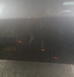 Porte avant gauche RENAULT MEGANE 3 Photo n°3