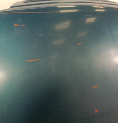 Capot CITROEN ZX