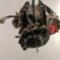 Boite de vitesses VOLKSWAGEN POLO 5