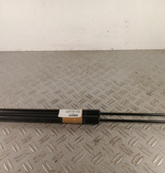 Verin de coffre RENAULT SCENIC 3 Photo n°1