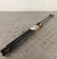 Verin de coffre RENAULT SCENIC 3